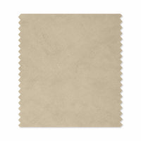 Kleurstaal Korqpaint Ecru