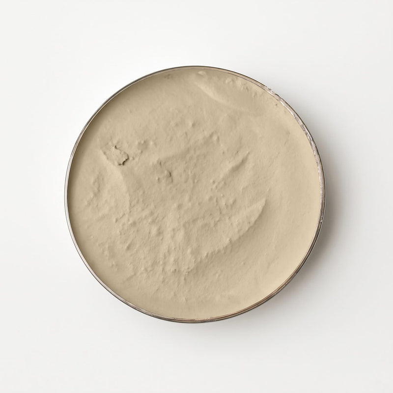 Kleurtester Korqpaint Aster